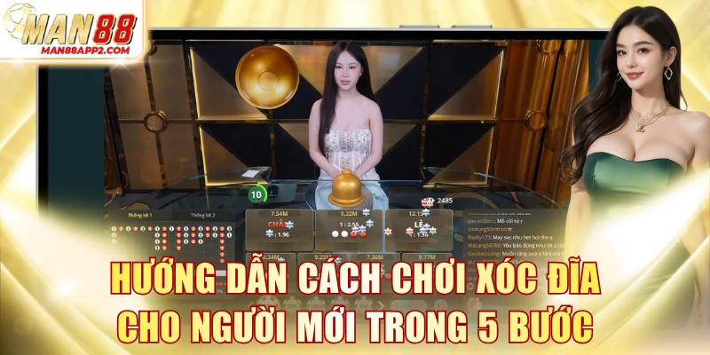 Hướng dẫn cách chơi xóc đĩa cho người mới trong 5 bước